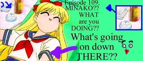 http://moonsisters.org/moonsisters/disturbing/minako109whaaat.jpg