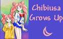 Description: Description: Description: Description: http://newtgirl.tripod.com/chibiusa/logo1.jpg